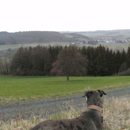 Villa Funny-Farm Sassen Exterior foto