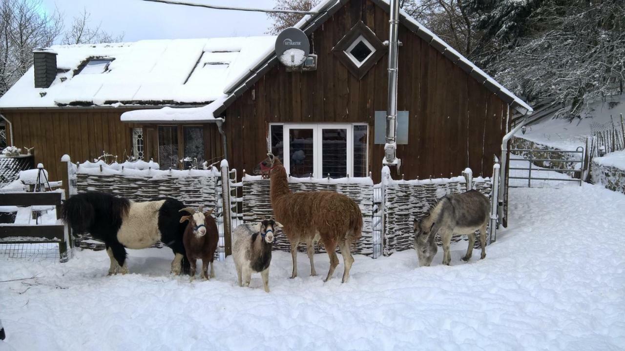 Villa Funny-Farm Sassen Exterior foto