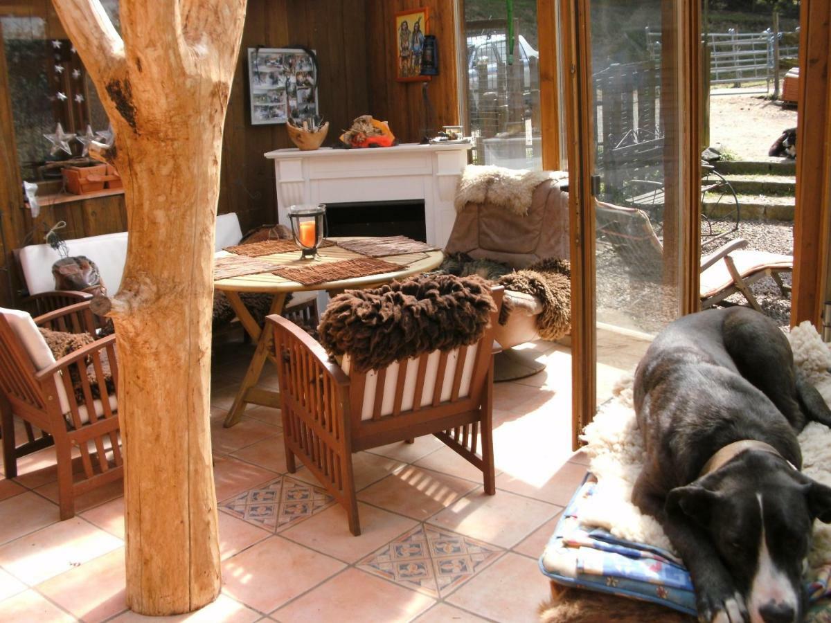 Villa Funny-Farm Sassen Exterior foto
