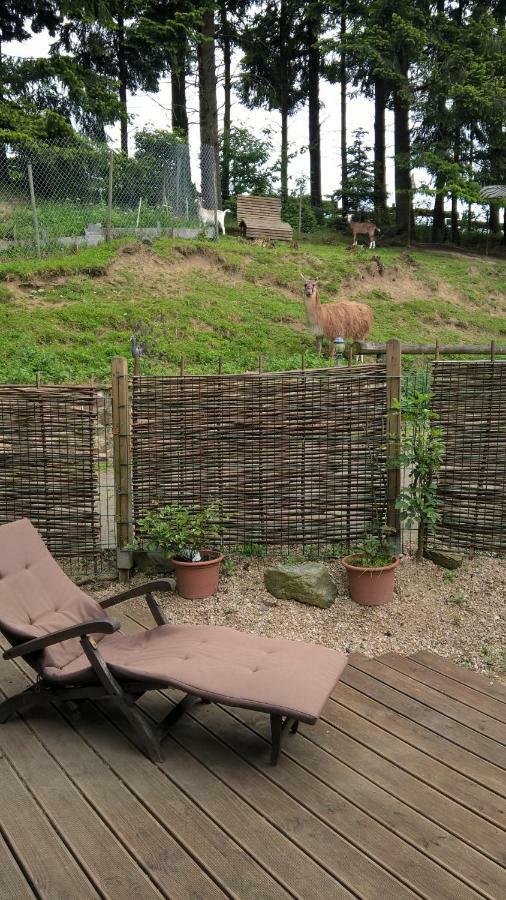 Villa Funny-Farm Sassen Exterior foto