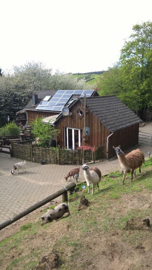 Villa Funny-Farm Sassen Exterior foto
